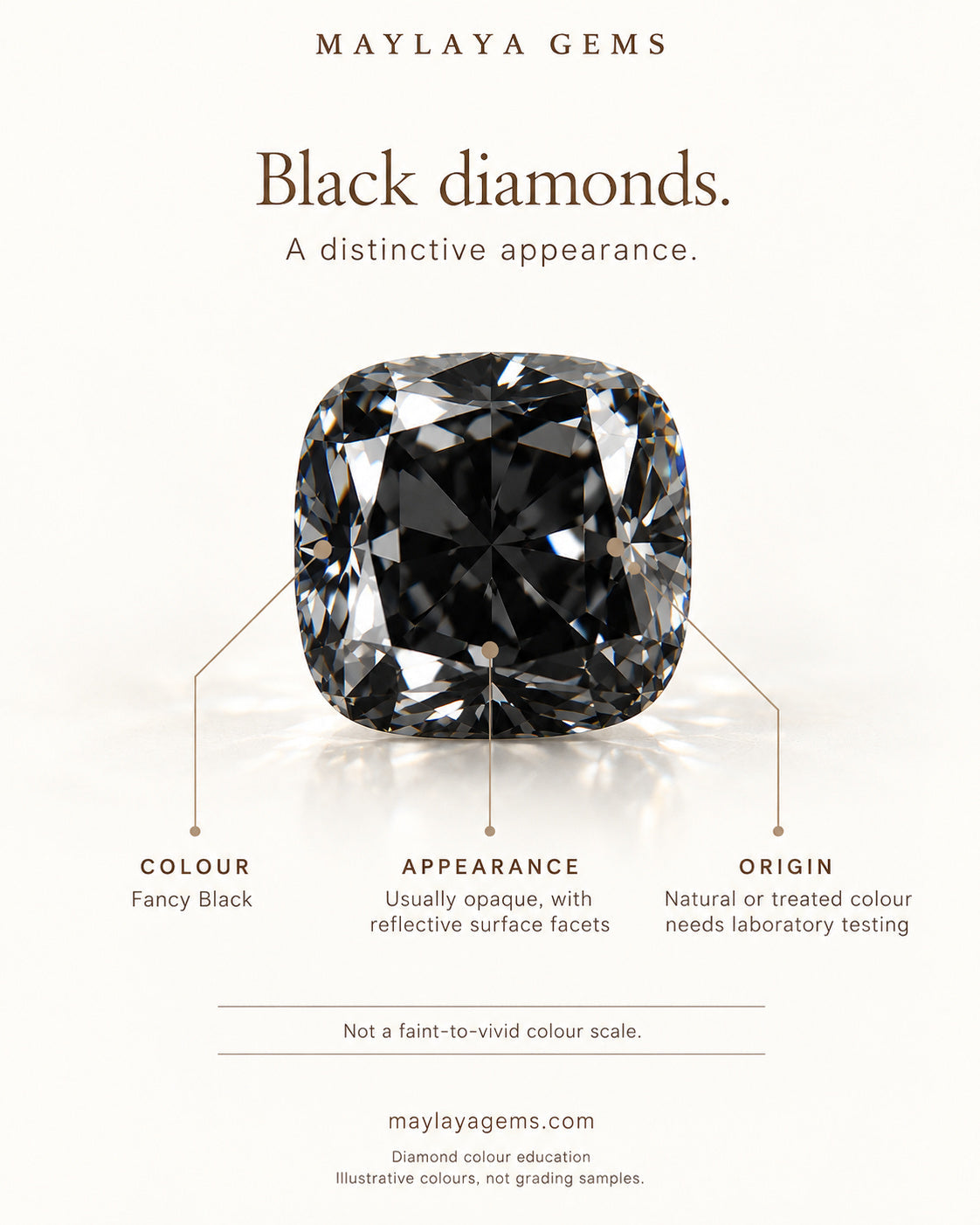 Illustrated guide to black diamonds showing their opaque appearance and polished facet reflections
